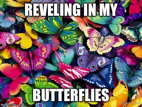 butterfly memes funny|animated pictures of butterflies.